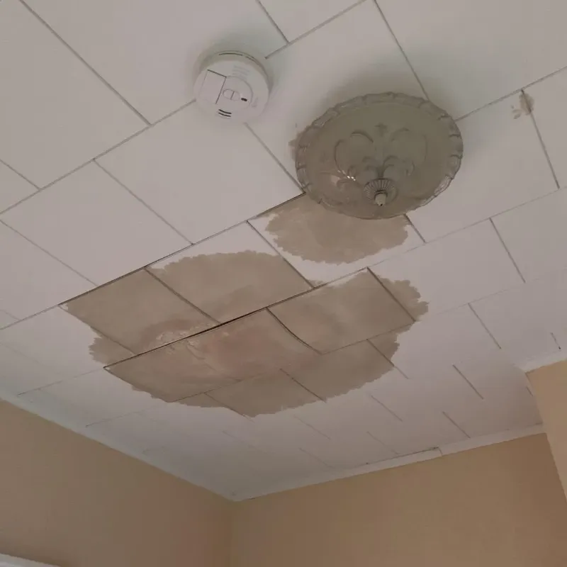 Ceiling Water Damage Repair in Northfield, MA